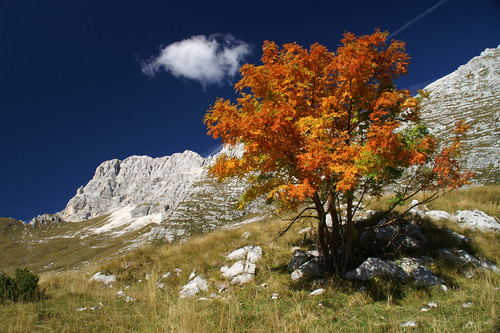 Jôf di Montasio in Autumn